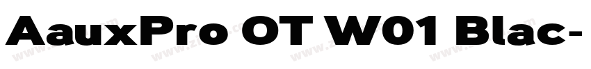 AauxPro OT W01 Blac字体转换 AauxPro OT W01 Blac字体转换